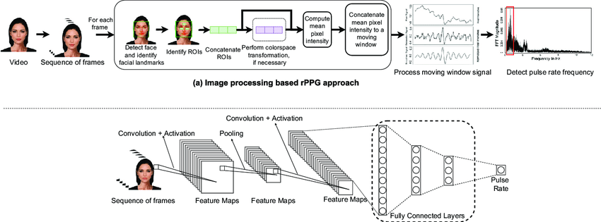 rPPG technology signal processing pipeline diagram